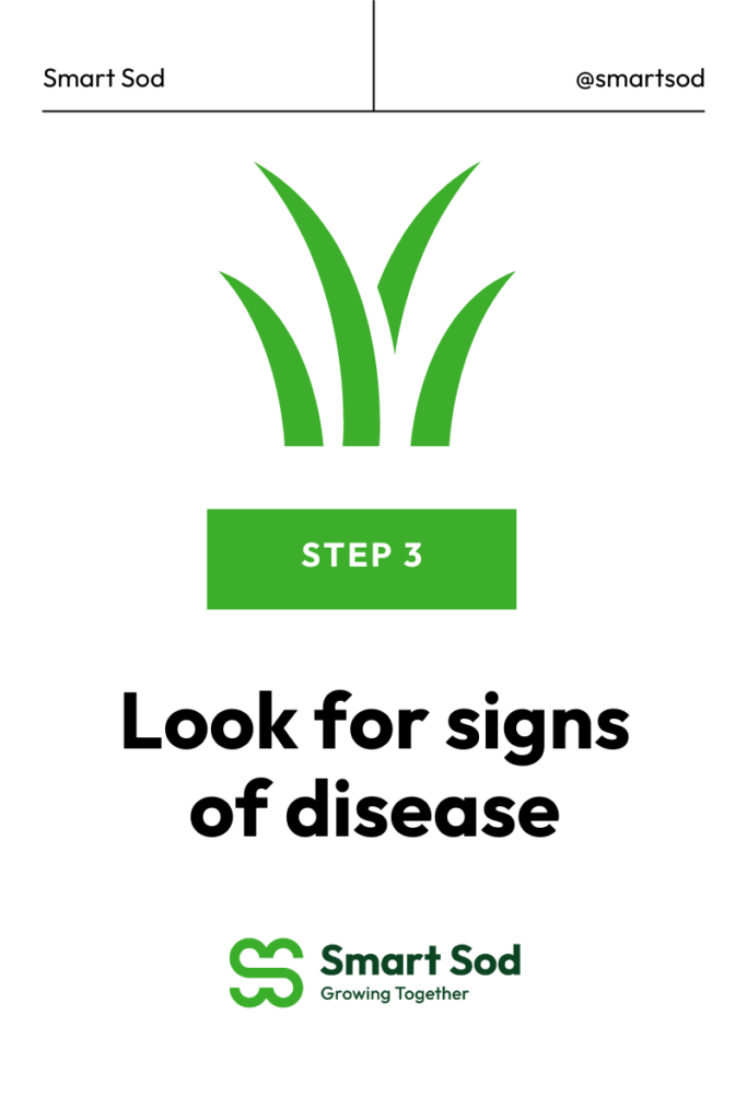 look for signs of disease with image of grass