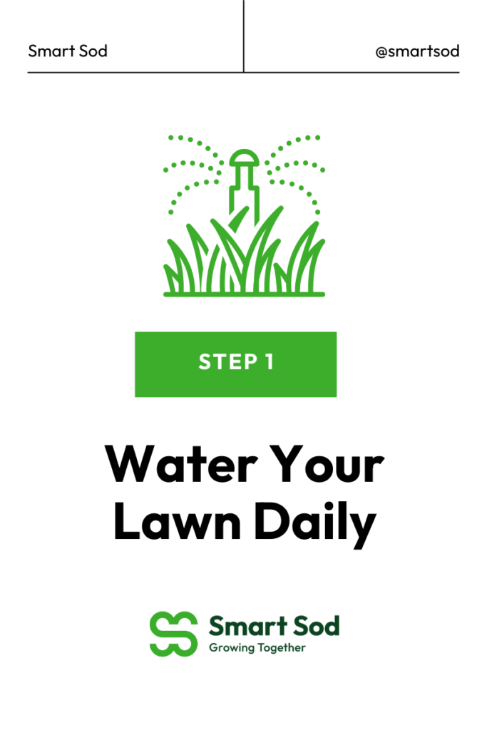 water your lawn daily graphic with irrigation system photo