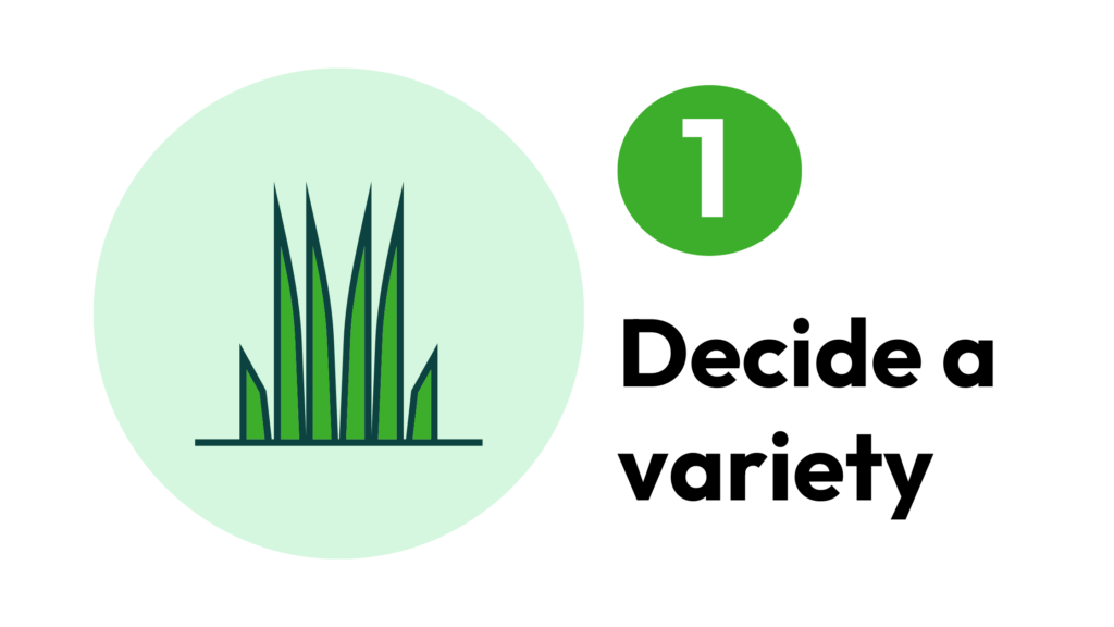 1. Decide a sod variety