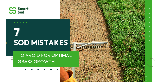 7 sod laying mistakes