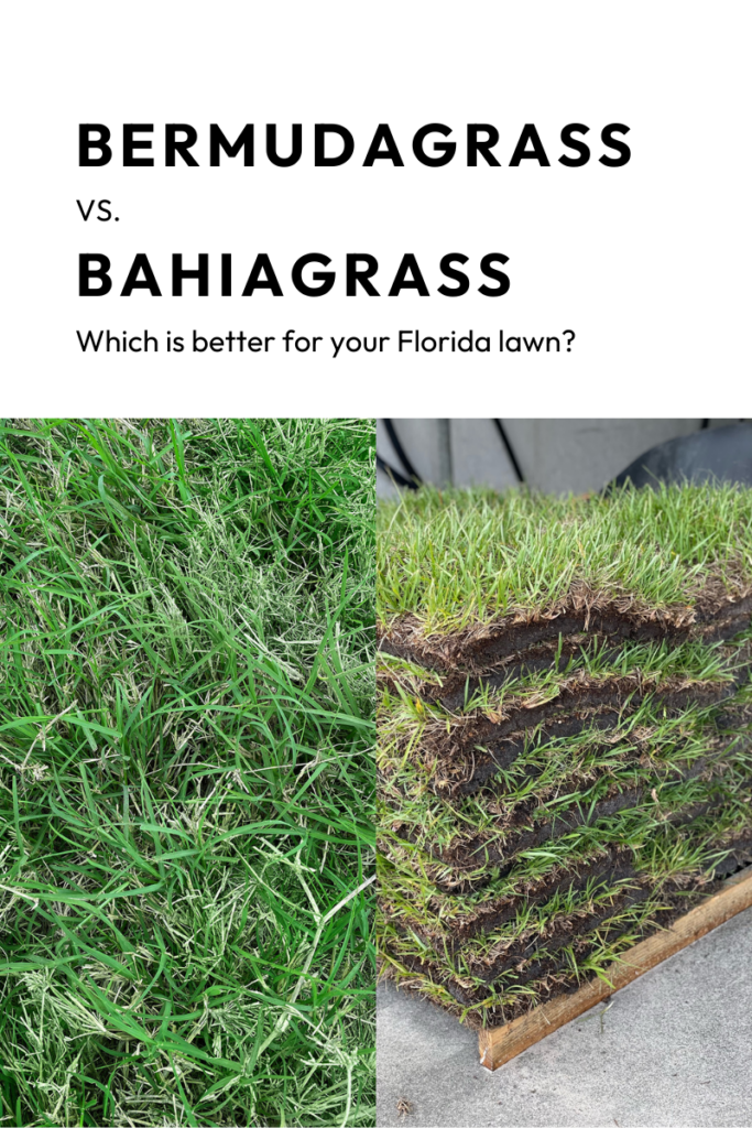 Bermudagrass vs Bahia: Which is better for Florida lawns