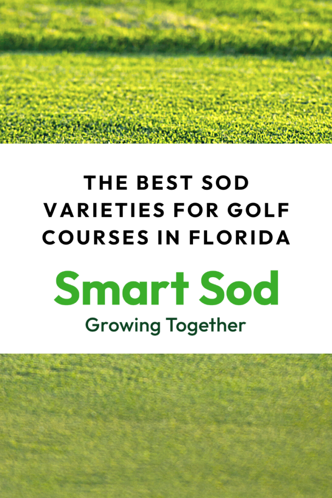 The best sod for golf courses and sports in Florida
