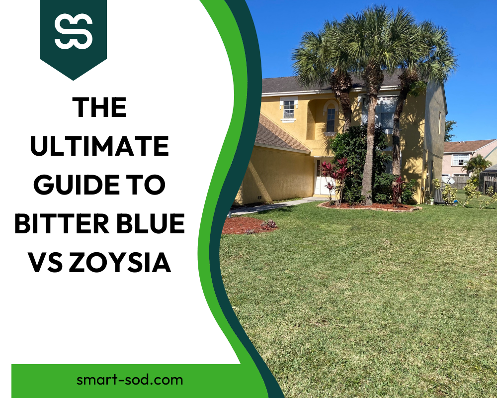 a photo of a florida home with sod and the text the ultimate guide to bitter blue vs zoysia grass