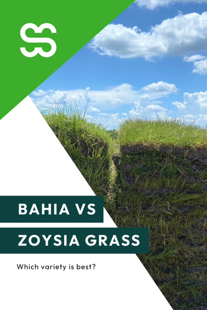bahia vs zoysia grass comparison