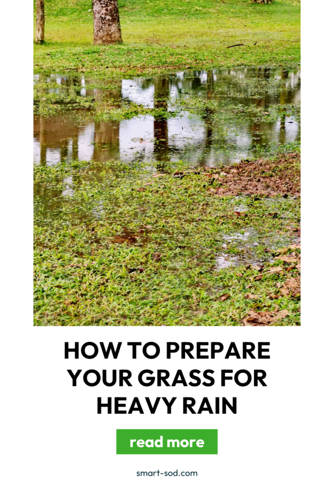 prepare your grass for heavy rain