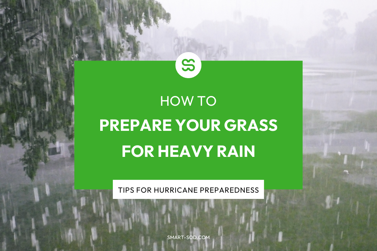 prepare-lawn-heavy-rain