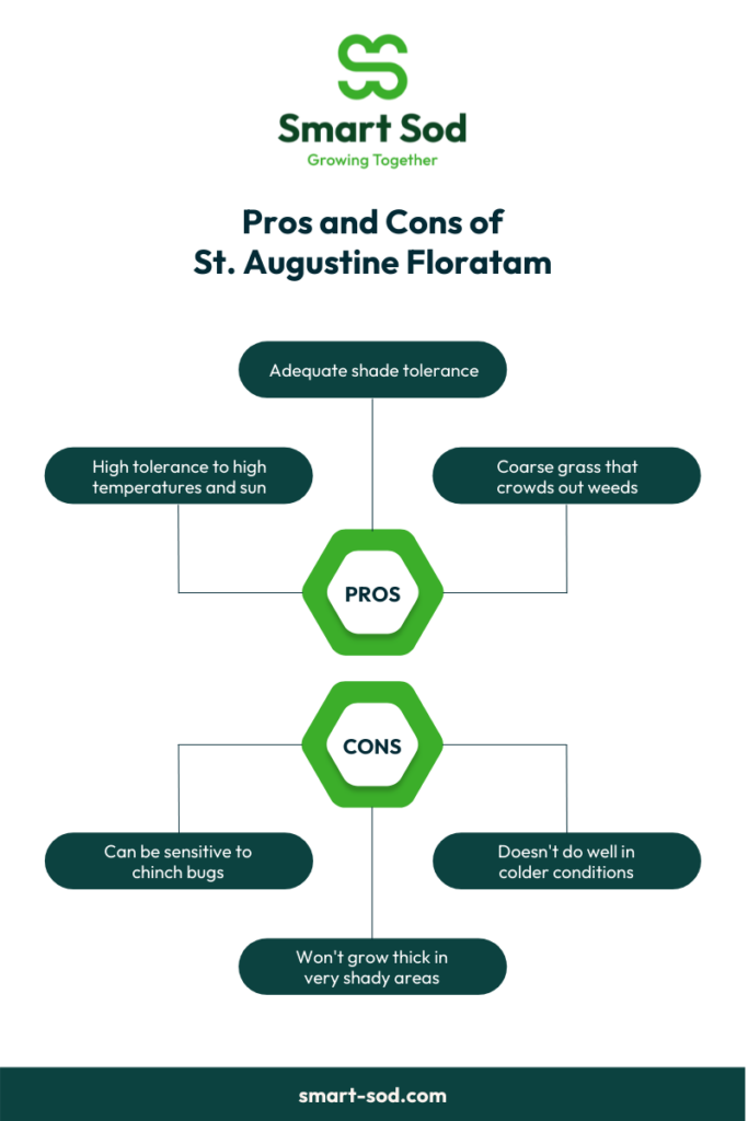 staugustine-floratam-pro-cons