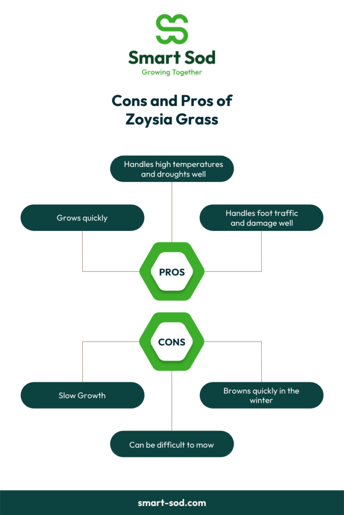 zoysia grass pros and cons, bahia vs zoysia grass