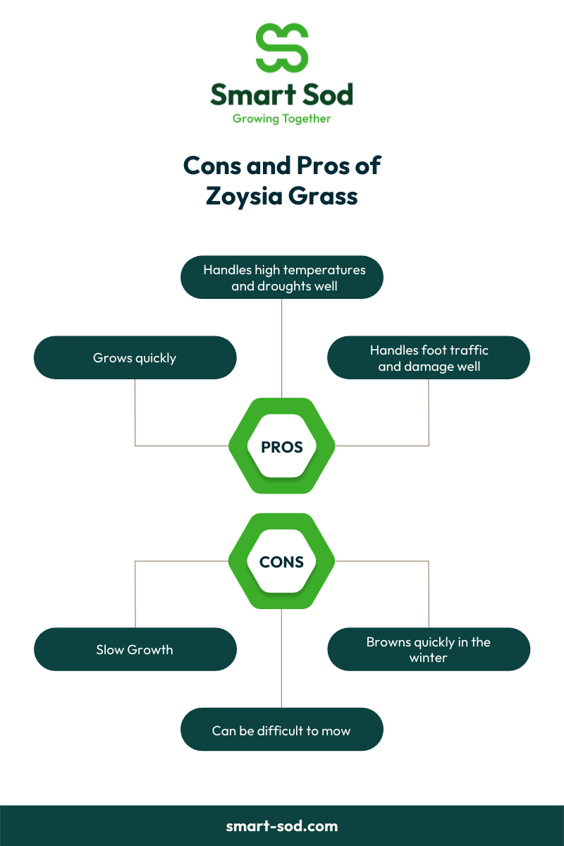 Which sod is better bahia vs zoysia grass Smart Sod