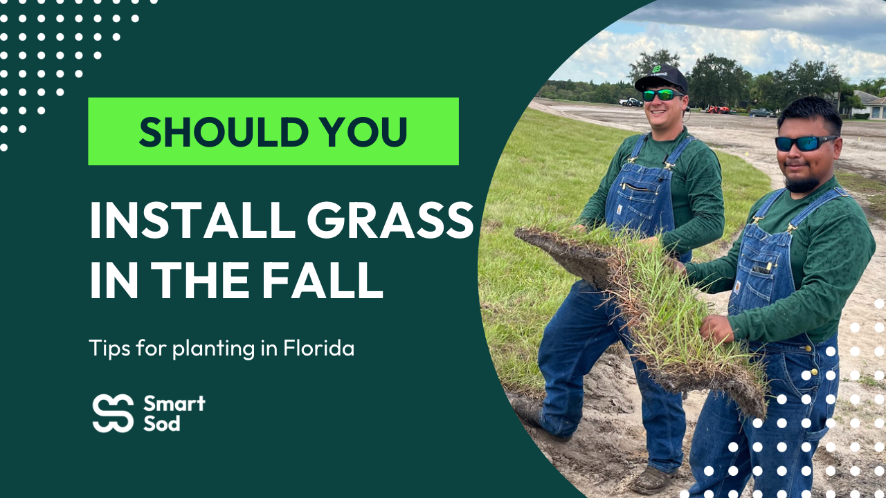 install-grass-florida