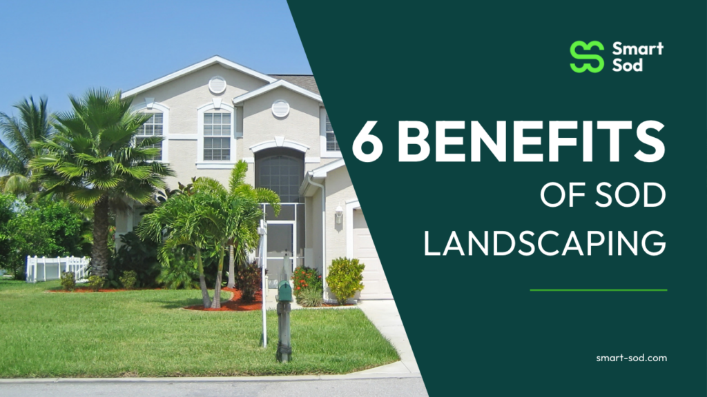 benefits of sod landscaping with a photo of a florida lawn