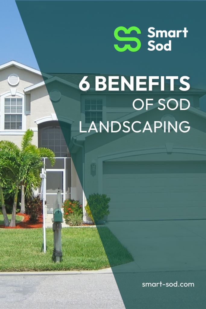 benefits of sod landscaping