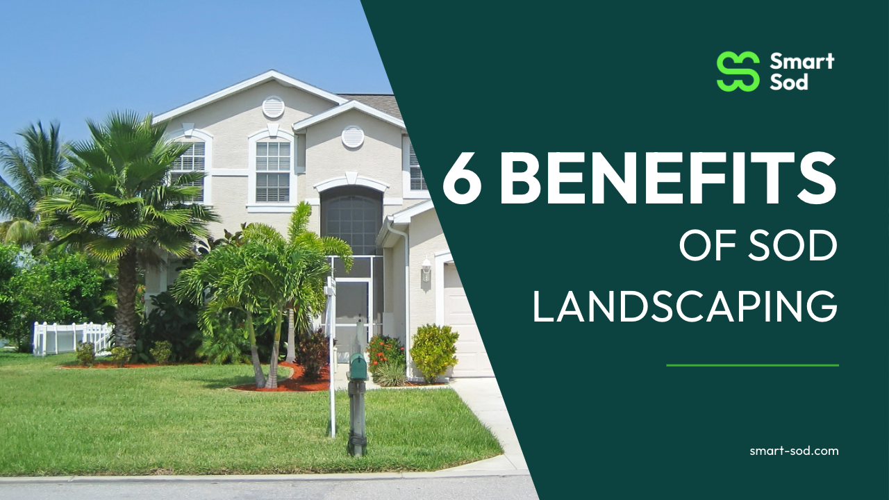 benefits of landscaping