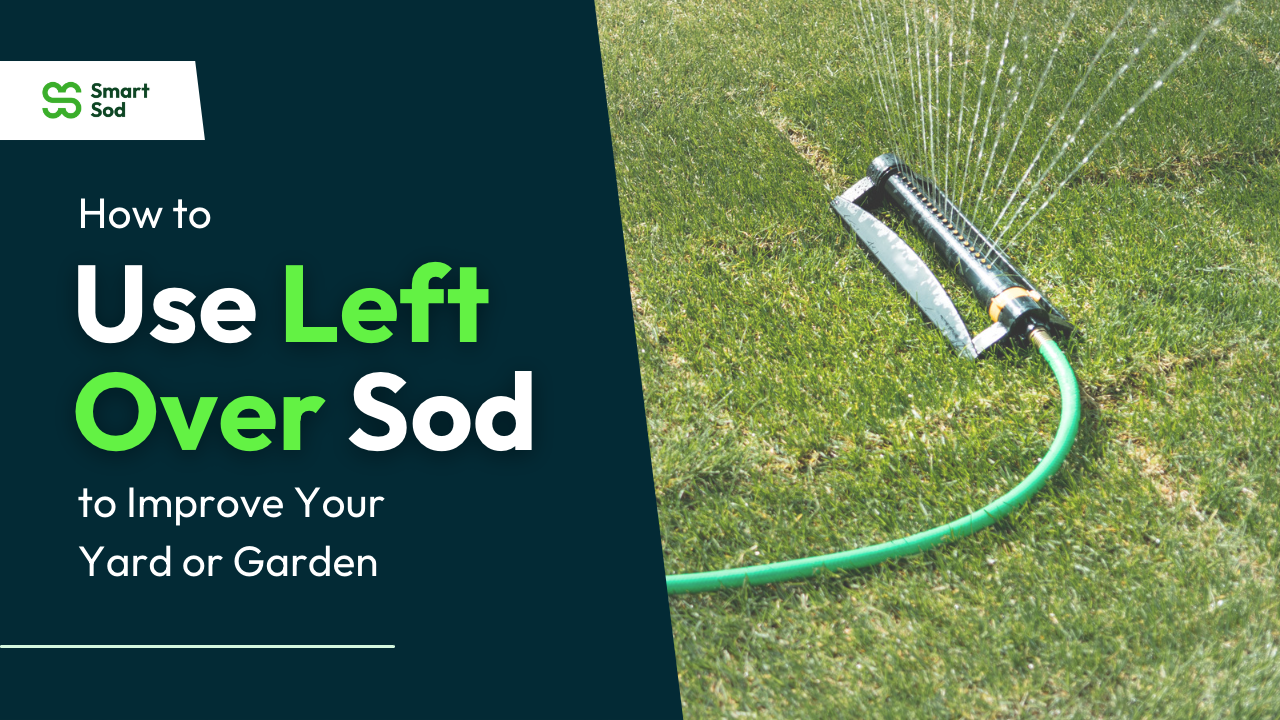 left-over-sod