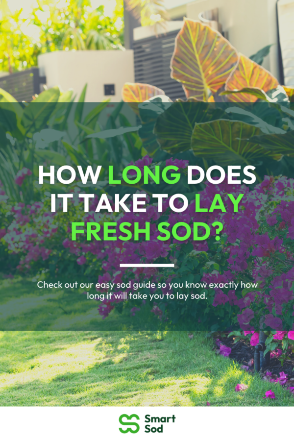 How Long Does It Take to Lay Fresh Sod? The Easiest Guide You’ll Ever