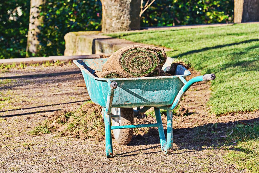 the-benefits-of-buying-sod-online-and-installing-a-new-lawn-buy-sod-online